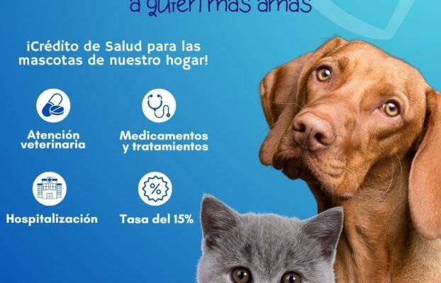 Cuida a Quien más Amas