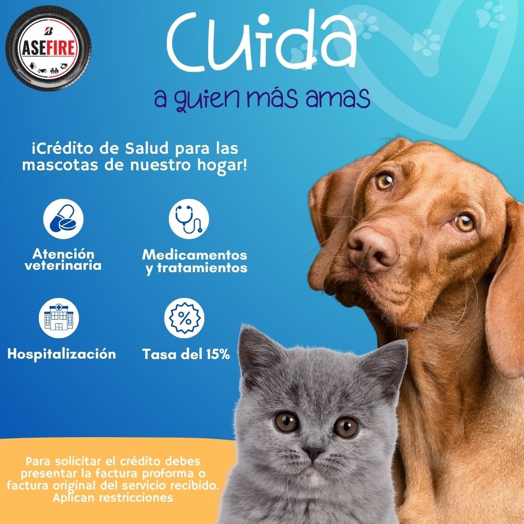 Cuida a Quien más Amas